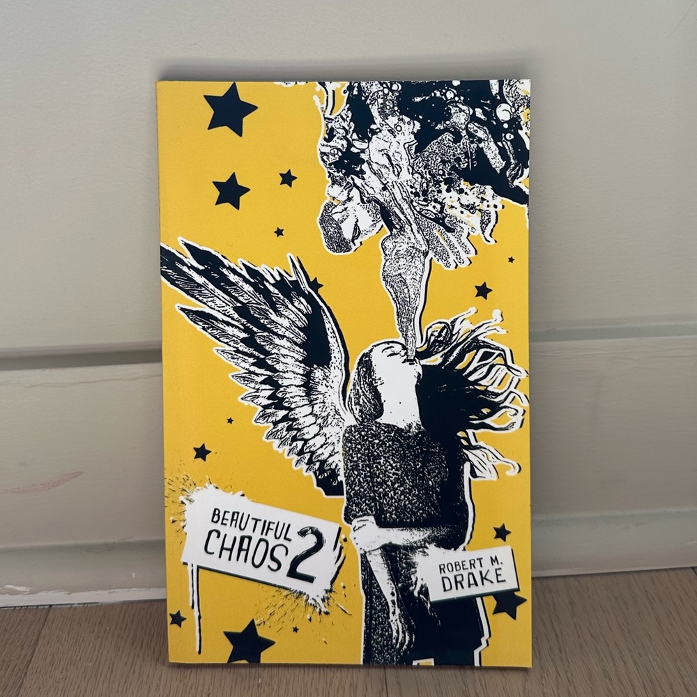 Beautiful Chaos 2 by Robert M. Drake